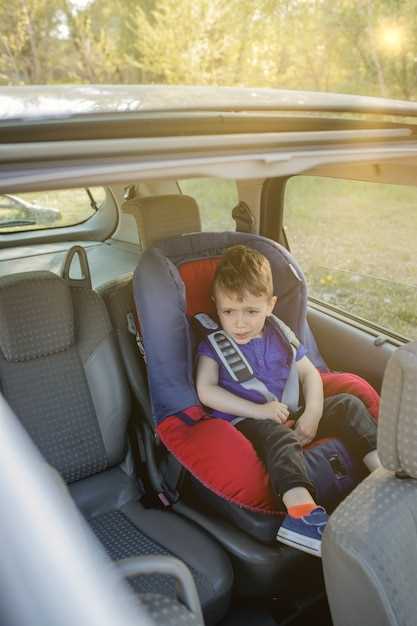 Обязательность использования бустеров для детей в машине в России